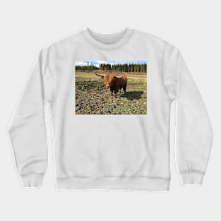 Scottish Highland Cattle Bull 2385 Crewneck Sweatshirt